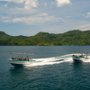 Eco Divers Lembeh Resort Speedboat 2