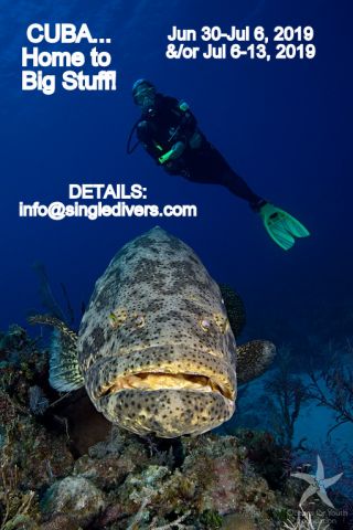 POSTER Cuba 6 Goliath   Diver