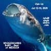 2026 POSTER   BOM whaleshark3